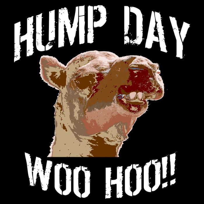 Hump Day Woo Hoo Camel Face Toddler Hoodie