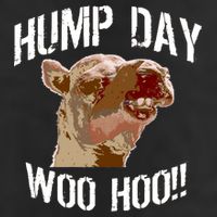 Hump Day Woo Hoo Camel Face Microfiber Hand Towel