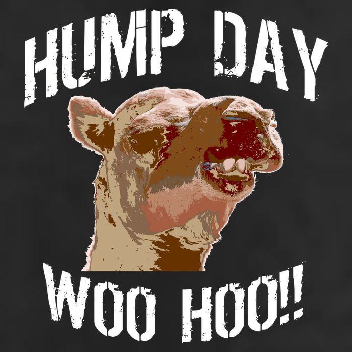 Hump Day Woo Hoo Camel Face Microfiber Hand Towel