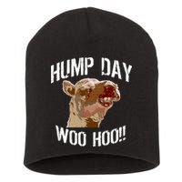 Hump Day Woo Hoo Camel Face Short Acrylic Beanie