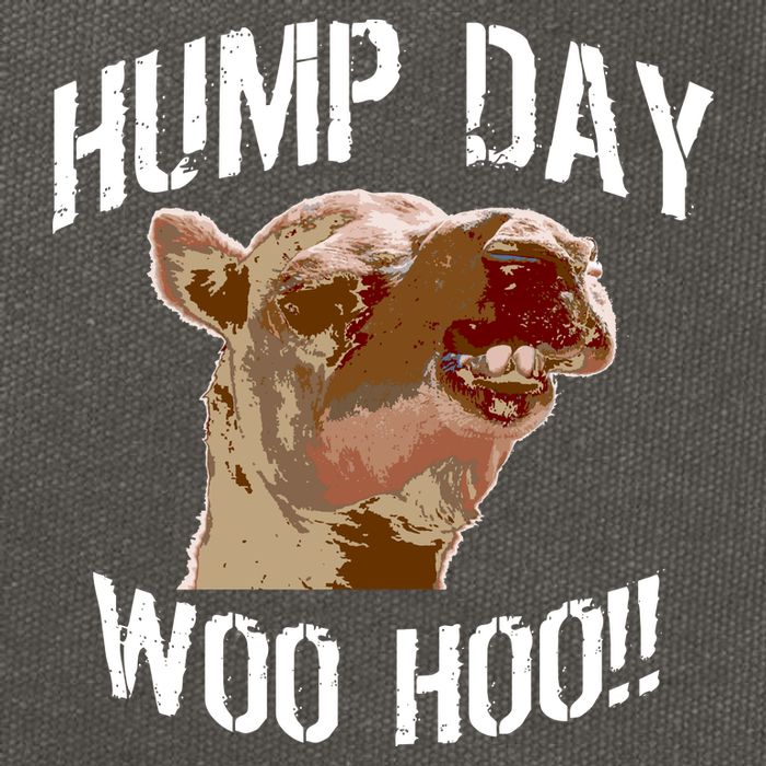 Hump Day Woo Hoo Camel Face Cotton Canvas Backpack