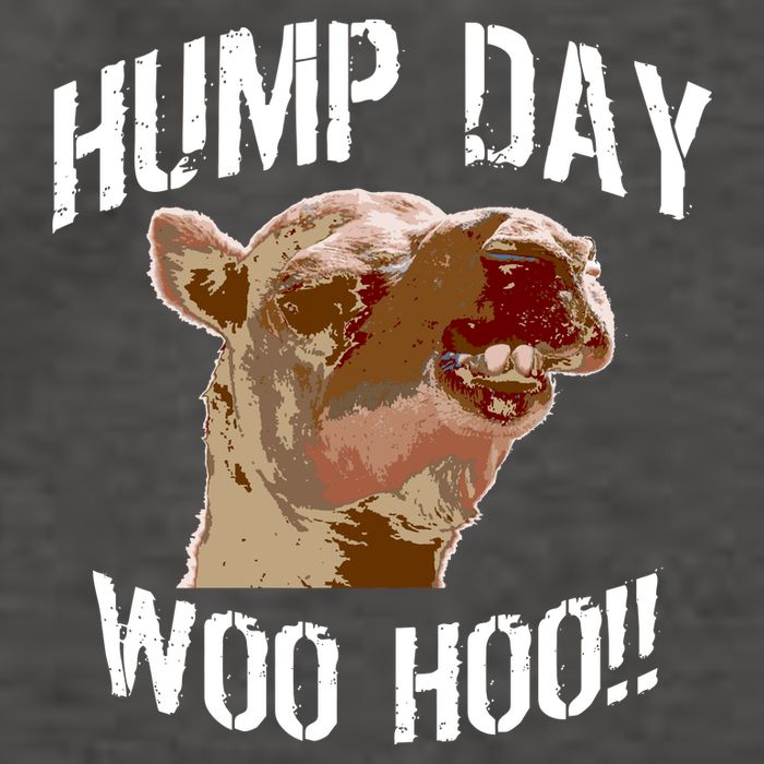 Hump Day Woo Hoo Camel Face Vector Backpack