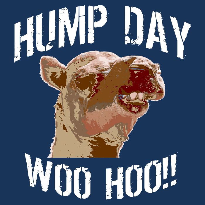Hump Day Woo Hoo Camel Face Infant Baby Jersey Bodysuit