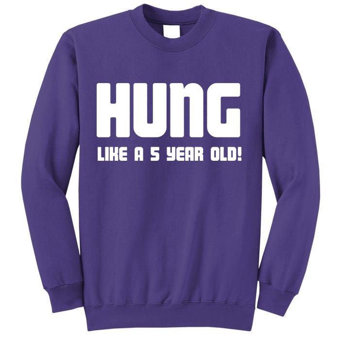 Hung Like A 5 Year Old Sweatshirt