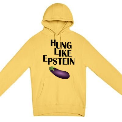 Hung Like Epstein Premium Pullover Hoodie