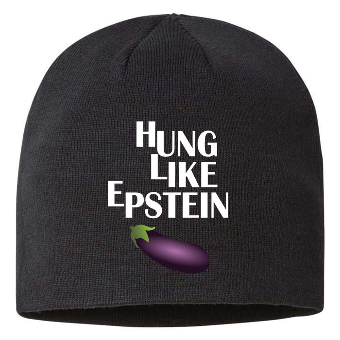 Hung Like Epstein Sustainable Beanie