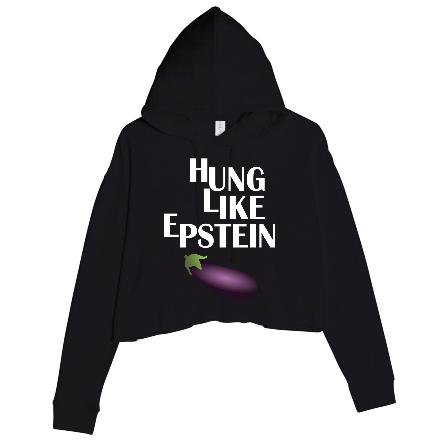 Hung Like Epstein Crop Fleece Hoodie