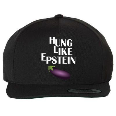 Hung Like Epstein Wool Snapback Cap
