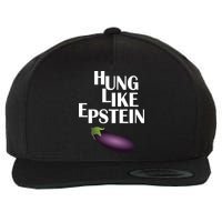 Hung Like Epstein Wool Snapback Cap