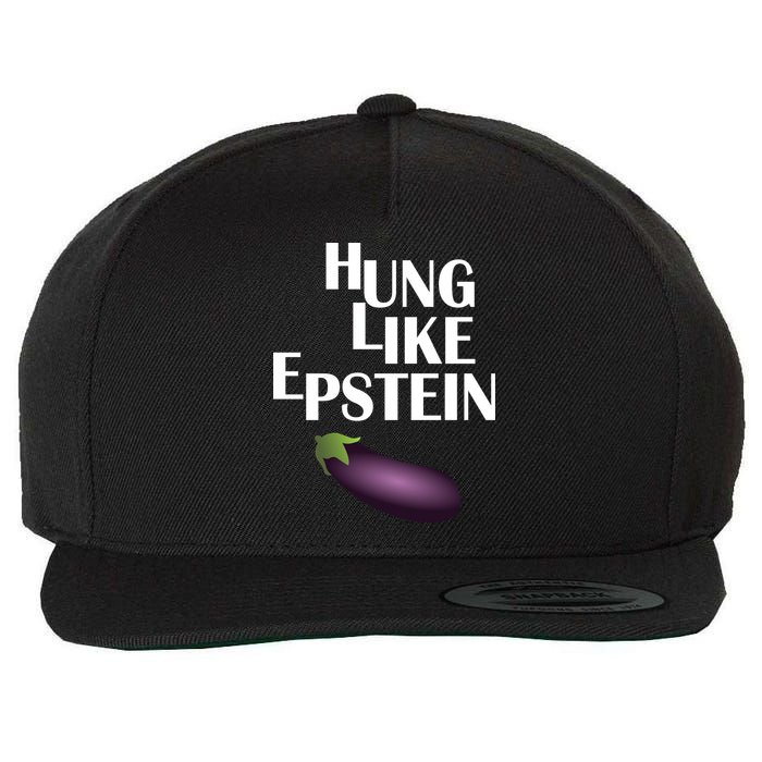 Hung Like Epstein Wool Snapback Cap