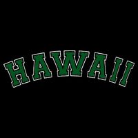 Hawaii USA Patriotic Birthday School University Gift Hoodie