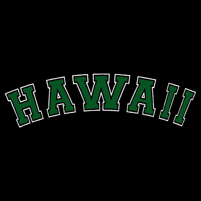 Hawaii USA Patriotic Birthday School University Gift Hoodie