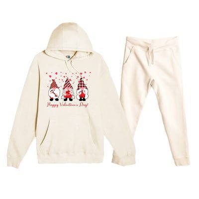 Happy Valentines Day Gnome Cute Gift Premium Hooded Sweatsuit Set