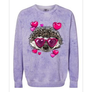 Hedgehog Valentines Day Heart Love Couples Hedgehog Lover Cool Gift Colorblast Crewneck Sweatshirt