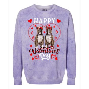 Happy Valentine's Day Cute Hearts Shape Couple Bull Terriers Gift Colorblast Crewneck Sweatshirt