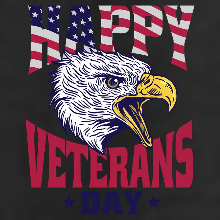 Happy Veterans Day Eagle 7 Panel Mesh Trucker Snapback Hat