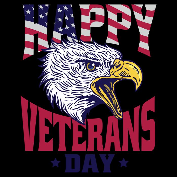 Happy Veterans Day Eagle Impact Tech Backpack
