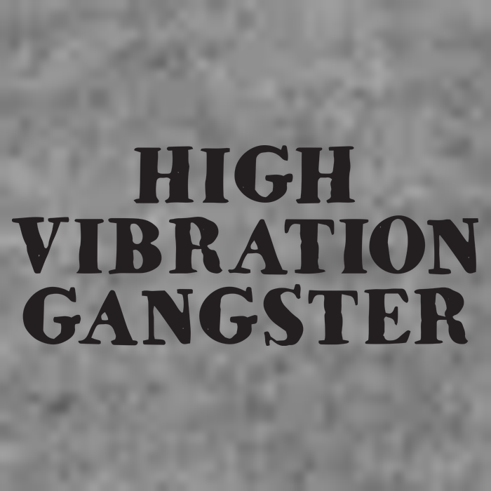 High Vibration Gangster Funny Spiritual Yoga Novelty Toddler Hoodie