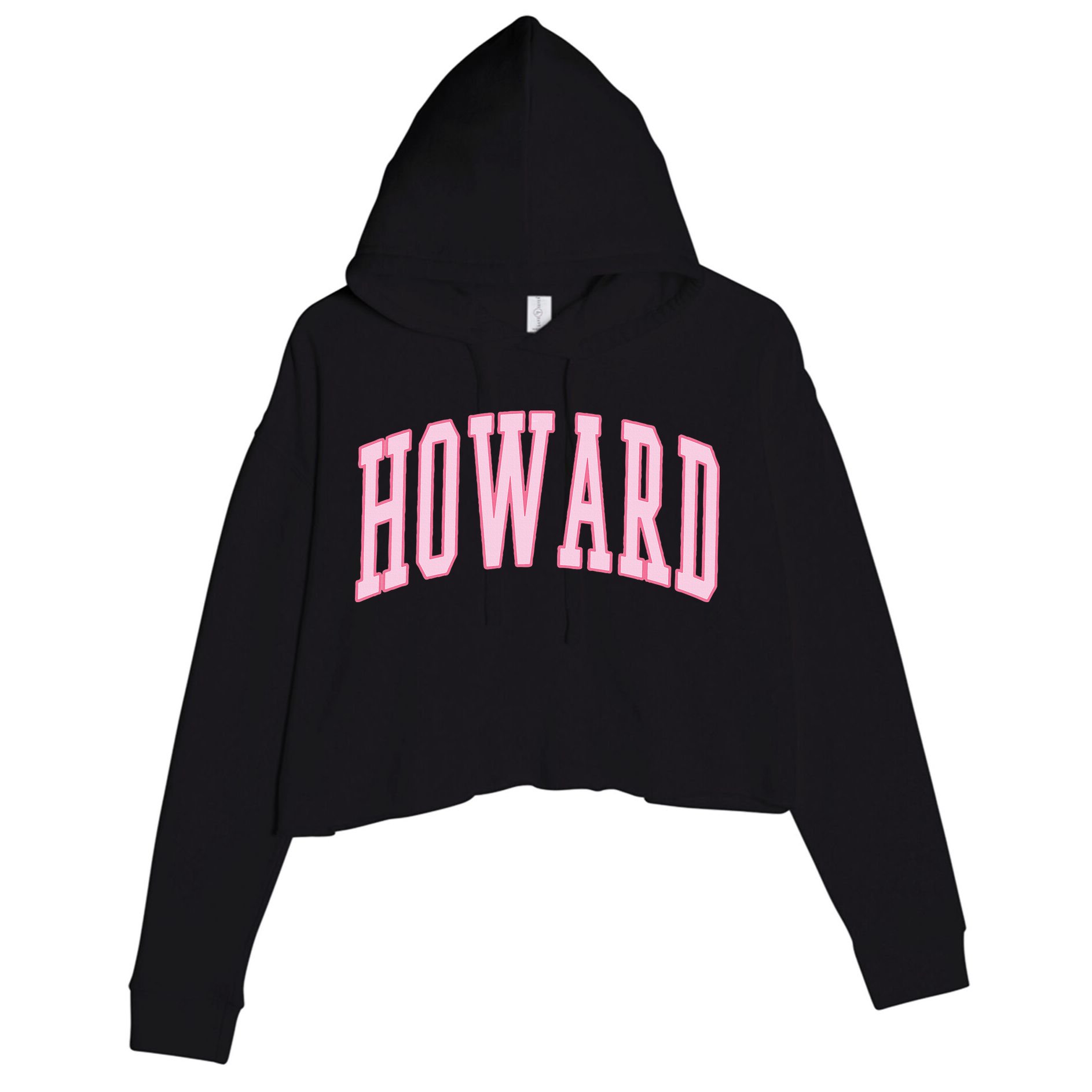 Howard Vintage Preppy Varsity Sports Crop Fleece Hoodie