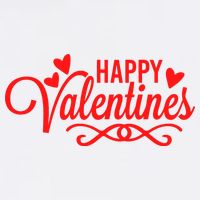 Happy Valentines Romantic Gift Apron