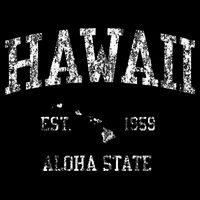 Hawaii Vintage Sports Hawaiian Islands Hi Kids T-Shirt