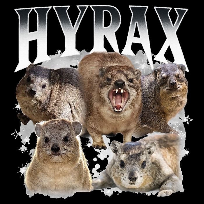 Hyrax Vintage Ugly Funny Meme Retro Animal Backpack