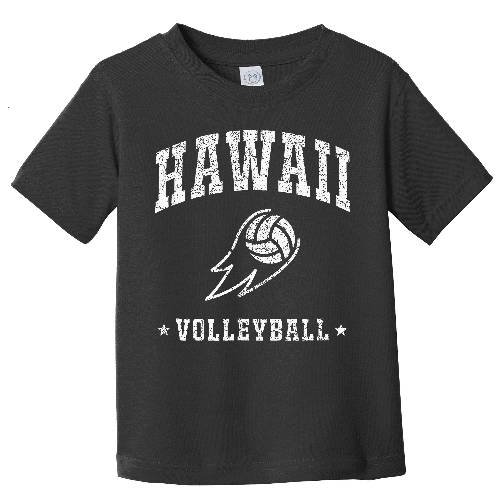 Hawaii Volleyball Vintage Volleyball Lover Toddler T-Shirt