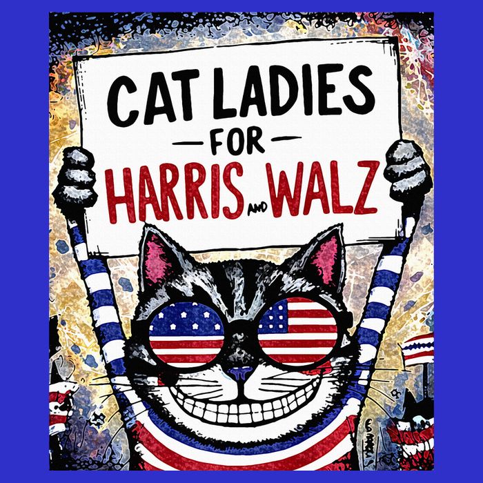 Harris Waltz 2024 Cat Ladies For Harris And Walz 2024 Premium Hoodie