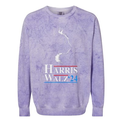 Harris Waltz 2024 Election Kamala Harris Tim Waltz 2024 Colorblast Crewneck Sweatshirt