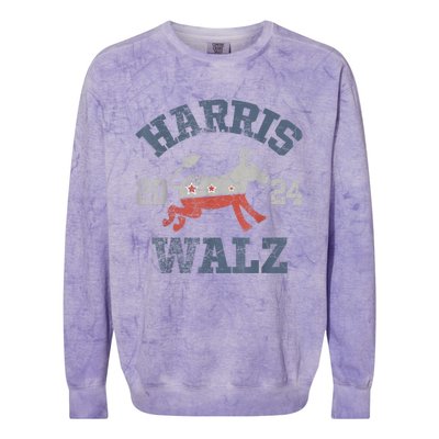 Harris Waltz 2024 Election Kamala Harris Tim Waltz 2024 Colorblast Crewneck Sweatshirt