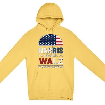 Harris Waltz 2024 Election Kamala Haris Tim Waltz 2024 Premium Pullover Hoodie