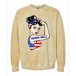 Harris Waltz 2024 Colorblast Crewneck Sweatshirt