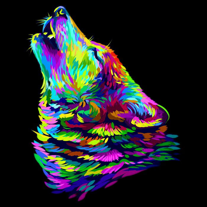 Howling Wolf Abstract Flatbill Hat