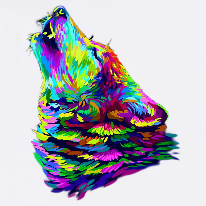 Howling Wolf Abstract Garment-Dyed Sweatshirt