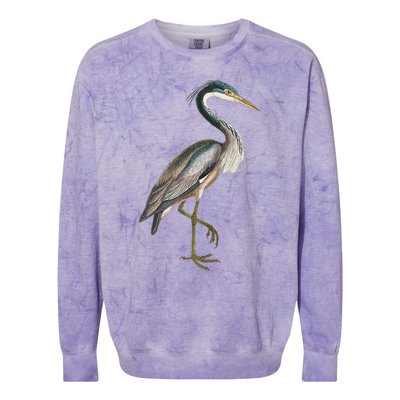 Heron Water Bird Lover Blue Heron Coastal Birds Colorblast Crewneck Sweatshirt