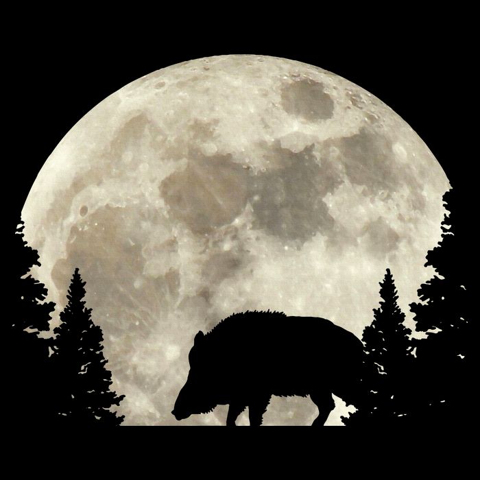 Hunter Wild Boar Keiler Wildsau Hunting Hunter Button