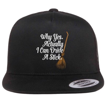 Halloween Witch Broom Why Yes Actually I Can Drive A Stick Gift Flatbill Hat