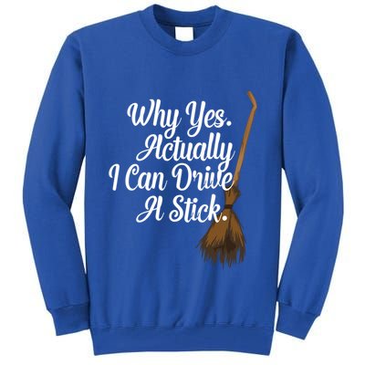 Halloween Witch Broom Why Yes Actually I Can Drive A Stick Gift Tall Sweatshirt