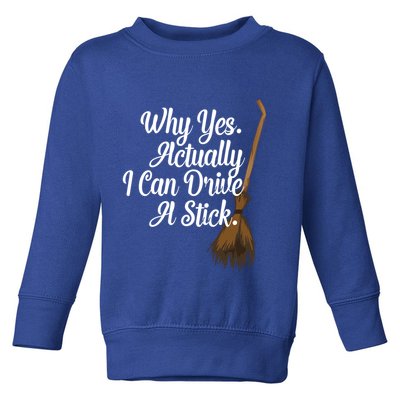 Halloween Witch Broom Why Yes Actually I Can Drive A Stick Gift Toddler Sweatshirt