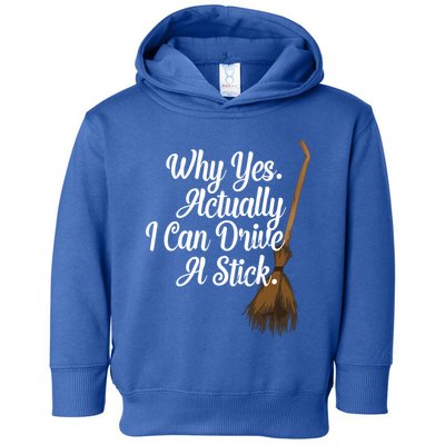 Halloween Witch Broom Why Yes Actually I Can Drive A Stick Gift Toddler Hoodie