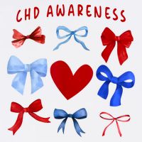 Heart Warrior Chd Awareness Heart Disease Coquette Bow Tall T-Shirt