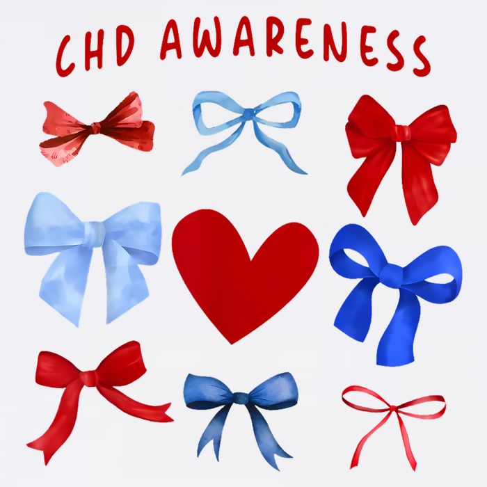 Heart Warrior Chd Awareness Heart Disease Coquette Bow Tall T-Shirt