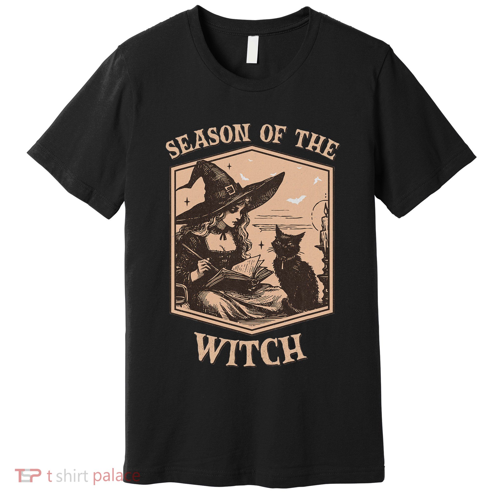 Halloween Witch Costume Salem Witch 1692 They Missed One Premium T-Shirt
