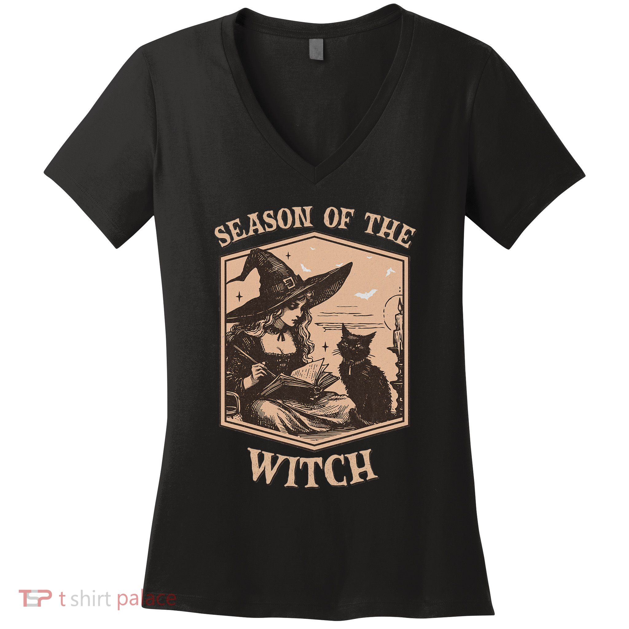Halloween Witch Costume Salem Witch 1692 They Missed One Women's V-Neck T-Shirt
