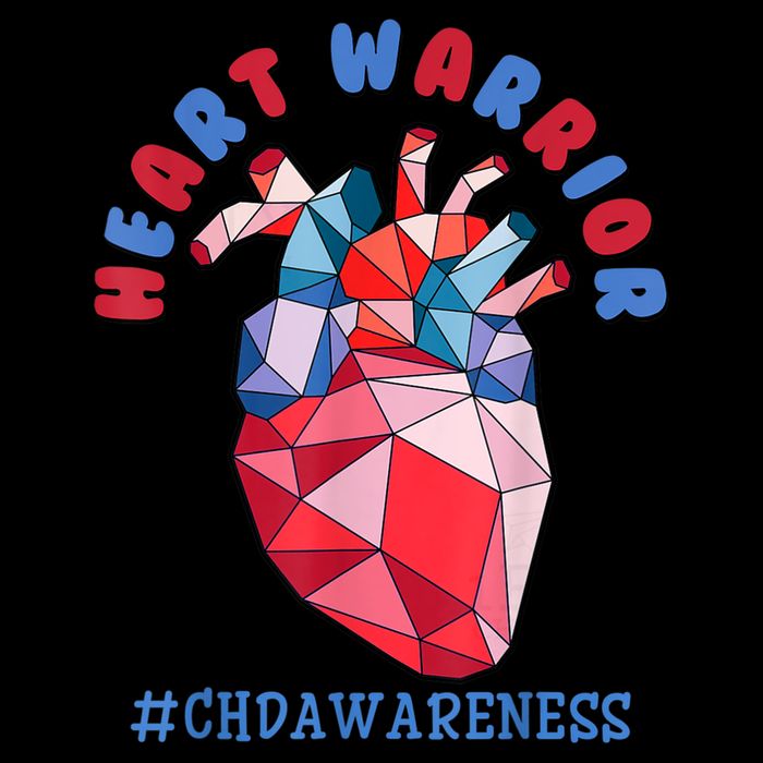 Heart Warrior CHD Congenital Heart Defect Awareness Wool Snapback Cap