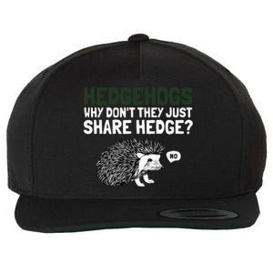 Hedgehogs Why Don't They Just Share Hedge Funny Wool Snapback Cap