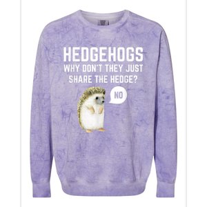 Hedgehogs Why Don't They Just Share The Hedge? Funny Hedgehog Colorblast Crewneck Sweatshirt