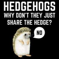 Hedgehogs Why Don't They Just Share The Hedge? Funny Hedgehog Sustainable Bucket Hat