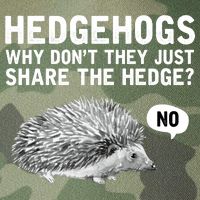 Hedgehogs Why Don't They Just Share The Hedge Funny Legacy Tie Dye Trucker Hat