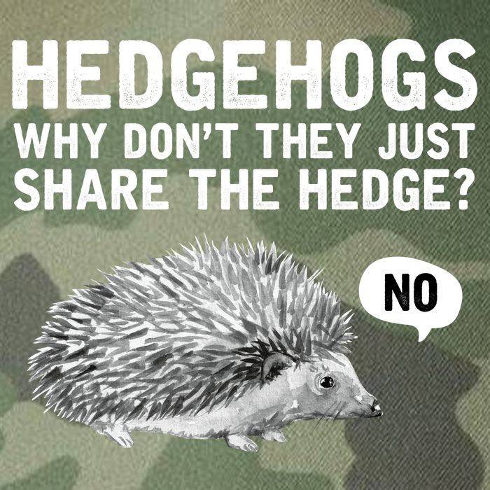 Hedgehogs Why Don't They Just Share The Hedge Funny Legacy Tie Dye Trucker Hat